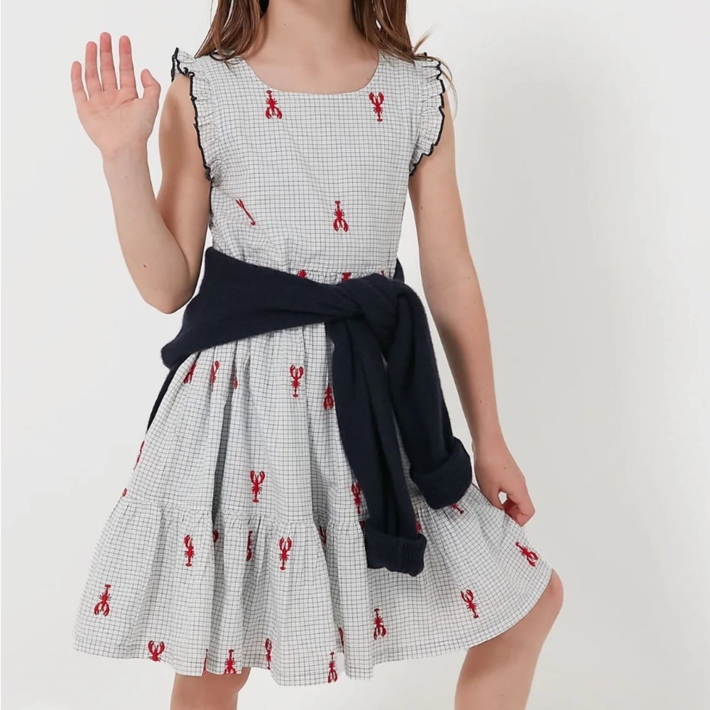 Tuckernuck Navy-Accented White Gingham Dress with Red Lobster Embroidery